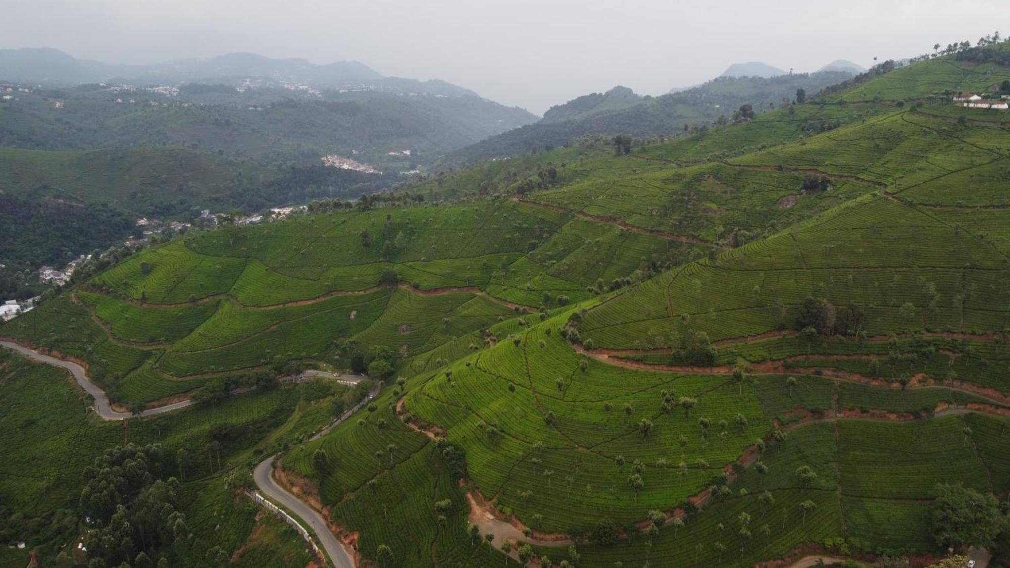 Casa De Selas Coonoor Ngoại thất bức ảnh